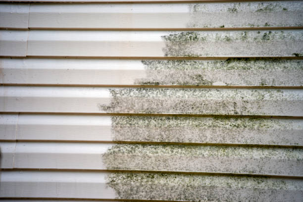 Best Shed Removal  in , PA