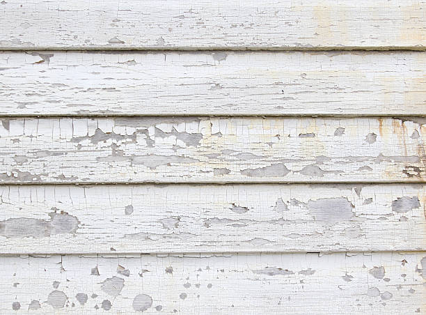 Best Same-Day Junk Removal Services  in , PA