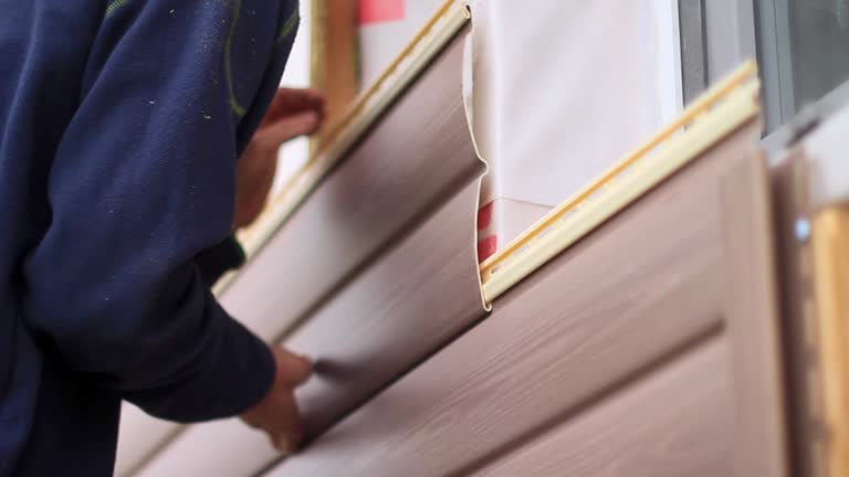 Best Carpet Removal and Disposal  in , PA